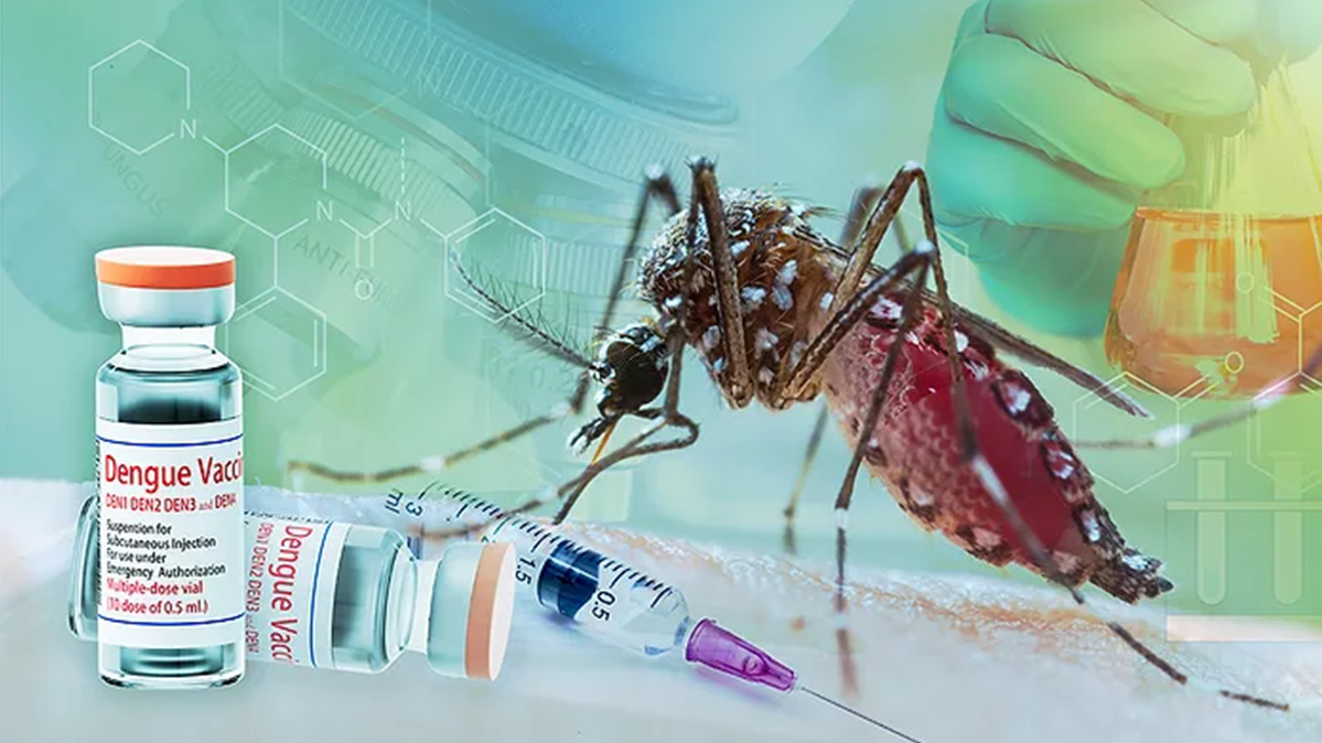 বিশ্বের প্রথম এক ডোজের ডেঙ্গু টিকার অনুমোদন দিল ব্রাজিল